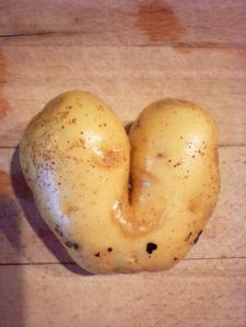 scary-looking-potato